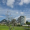 따뜻한 산들바람 | 열린송현 녹지광장, 제3회 서울조각페스티벌 〈예술의 도시, 산들바람 타고〉 관람후기 (84)