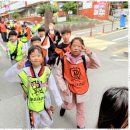 대호태권도체육관 이미지