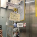 주차49 | [세종 나성동]49층 뷰맛집 대형 베이커리☕ 카페 플레져 내돈내산 후기(주차/가는길/메뉴판/빵종류)