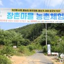 트리팜 관광농원 이미지