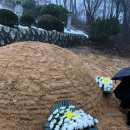 루마니아 랩소디 이미지
