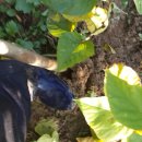 황금슈퍼 이미지