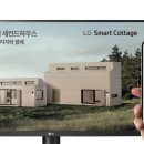 판다고
