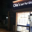 올리스 방이점 이미지