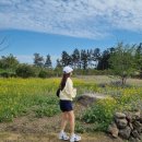 컴발란스 이미지