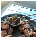 노을상회 이미지