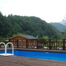 일번지농장 이미지