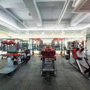 넥스트짐 이천마장점 헬스 PT 이미지