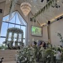 더마레보 호텔 | 더마레보 호텔 웨딩 하객 후기 | 수원 영통 웨딩홀 ATM·뷔페 솔직 후기