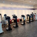 다미인피부비만관리 이미지