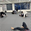 알파레슬링 이미지