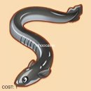 테마덮밥 이미지