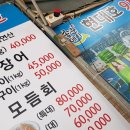 용호동 섶자리 이미지