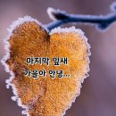 [2022년 12월 1일(음:11월 8일. 일출 7시 26분.일몰17시 14분].원주 고니골 빛 축제 이미지