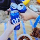 강릉경포카라반파크 | 강릉 오션뷰 카라반 내돈내산 후기/ 강릉 프라이빗 비치가 있는/ [강릉 경포 카라반파크]