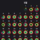 5월 일상