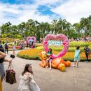 더블유빌리지 이미지