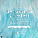 제주 비엔날레 전시 제주도립미술관 후기