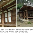 연못위