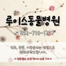 루이스24시동물병원 이미지