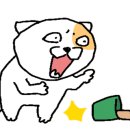 플로우헤어스튜디오 네이버블로그