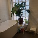 정발산공원 화장실-3 이미지