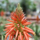 바다솔정원펜션 이미지