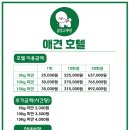 감성그루밍 이미지