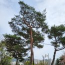 참(charm)행정사 사무소 이미지