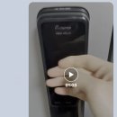 큐독