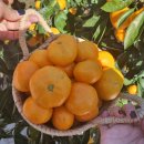 착한농장 이미지