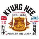 제일경희태권도 이미지