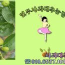 세중농장 이미지