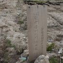 조기수농장 Daum카페