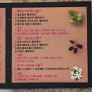 미화 3색김밥 까페 이미지