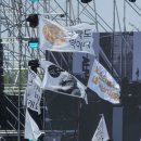 2025 피크페스티벌 - 양일권 부수고온 후기 종합 (내돈내산)