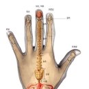 손,발지압/혈자리 사진으로 한눈에 보는 손지압법 이미지