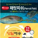 구라피쉬 이미지