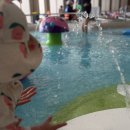 [예산] 돌아기랑 스플라스 리솜 가족 여행 플렉스타워 스플라스 온천 워터파크 후기(내돈내산)