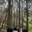 편백스테이 이미지