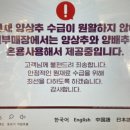 또 햄버거 속 양배추, 롯데리아는 “이상기후 탓”이라는데… [푸드360] 이미지