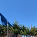 체스터톤스 - 34411 | 체스터톤스