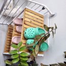 윌리하니 그루밍 이미지