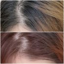 에이알헤어살롱 | 영 염색약하면 빼놓을 수 없는 셀프 염색약의 강자 미쟝센 올뉴헬로버블 7에이알 애쉬로즈 컬러 후기!