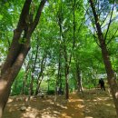 상도근린공원 산책로 이미지