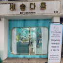 즐거운 애견미용 | 비숑다움 광주 남구 애견미용 후기