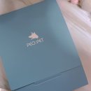 펫콩 | 강아지 외장칩 등록 : 페오펫 후기 🐶 작고 소중해