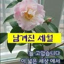 찬바람 불 때 체온 높이는 6가지 음식 이미지