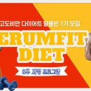 이룸핏 이미지