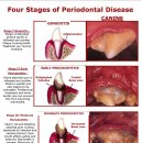 24시알파동물메디컬센터 이미지